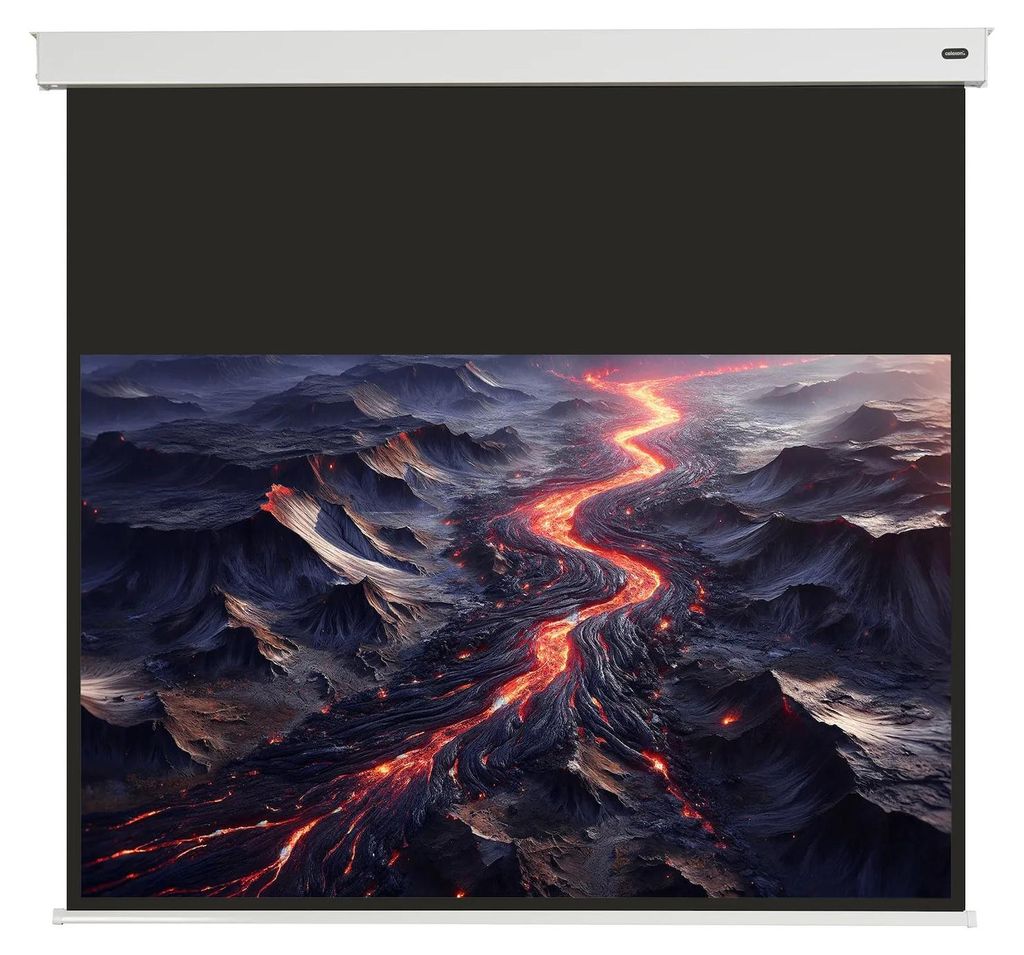 celexon Batterie Leinwand V2.0 Motor Professional Plus 180 x 102 cm