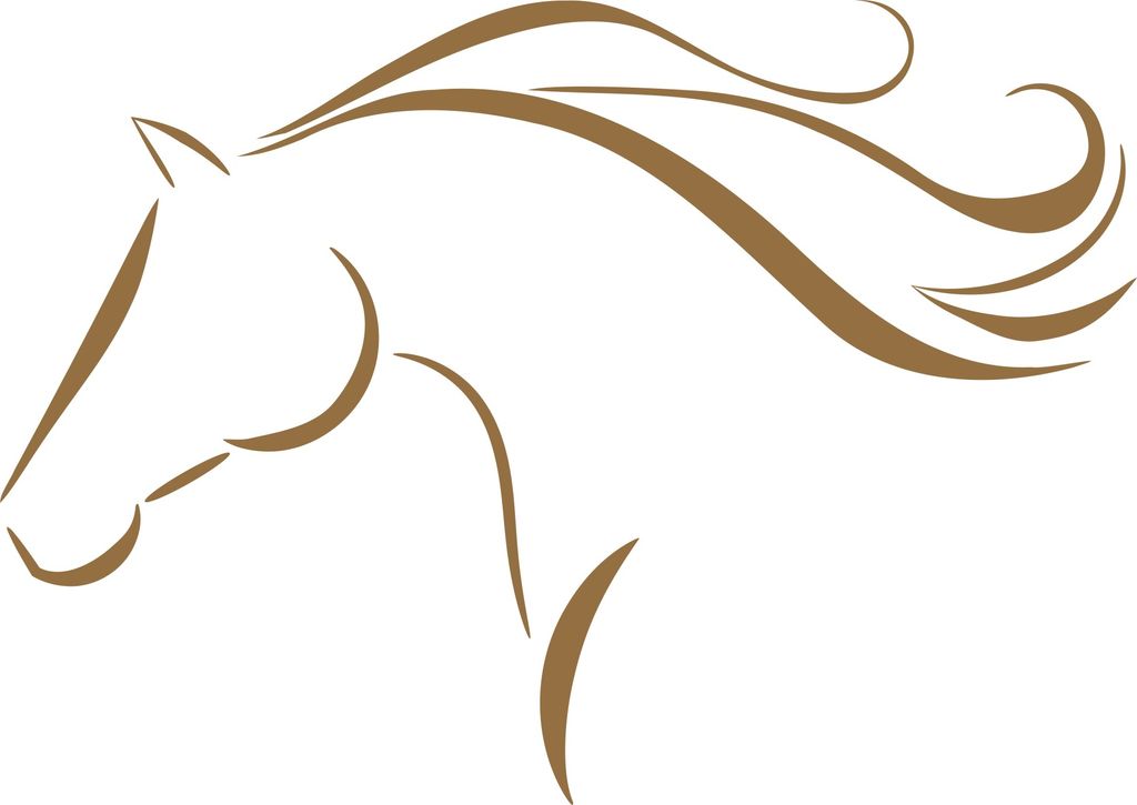 Pferdeanhänger Pferdeaufkleber Pferde Silhouette 60cm Farbe Gold