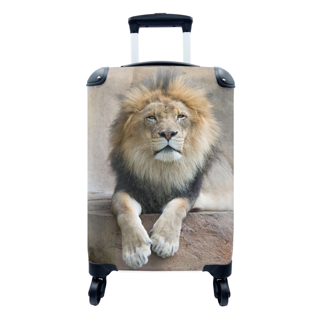 MuchoWow Koffer Handgepäck Trolley Rollkoffer Kleine Reisekoffer mit 4 Rollen - Löwe - Steine - Porträt - Cabin Size < 55x40x23 cm & 55x40x20 ...