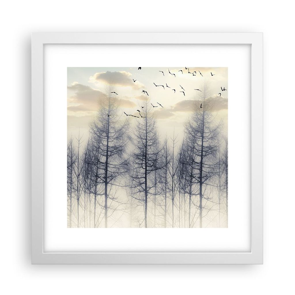 Gerahmtes Poster - Weißer Rahmen - Bäume Vögel Himmel - 30x30 cm - Wand Bild - Wanddeko - Wandbilder - Kunstposter - Wandposter - Bilderrahmen -...