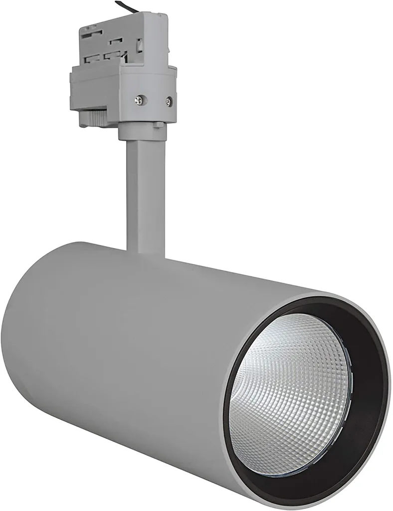 Éclairage de Magasin LED Rail 55W Gris - Spot Blanc Froid D95 x 297