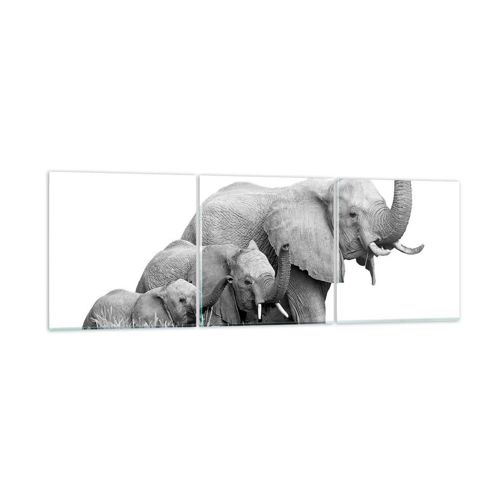 Bilder auf glas - 3 Teile - Elefanten Familie Schwarz und Weiß - 90x30cm - Glasbilder - Wandbilder - Bilder - Wanddekoration aus Glas - Glas Bilde...