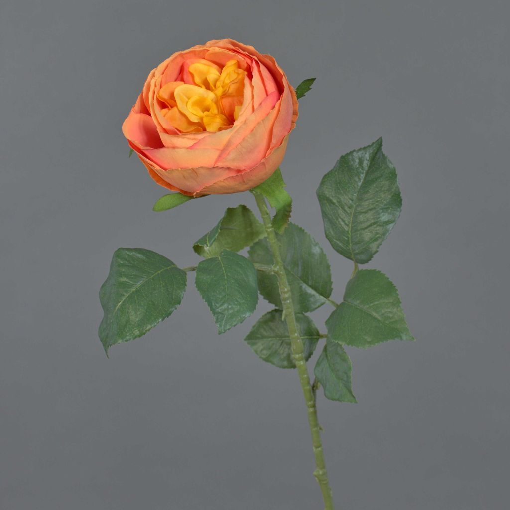 artplants.de Kunst Kohl-Rose Vanni, orange, 60cm - Textil Rose
