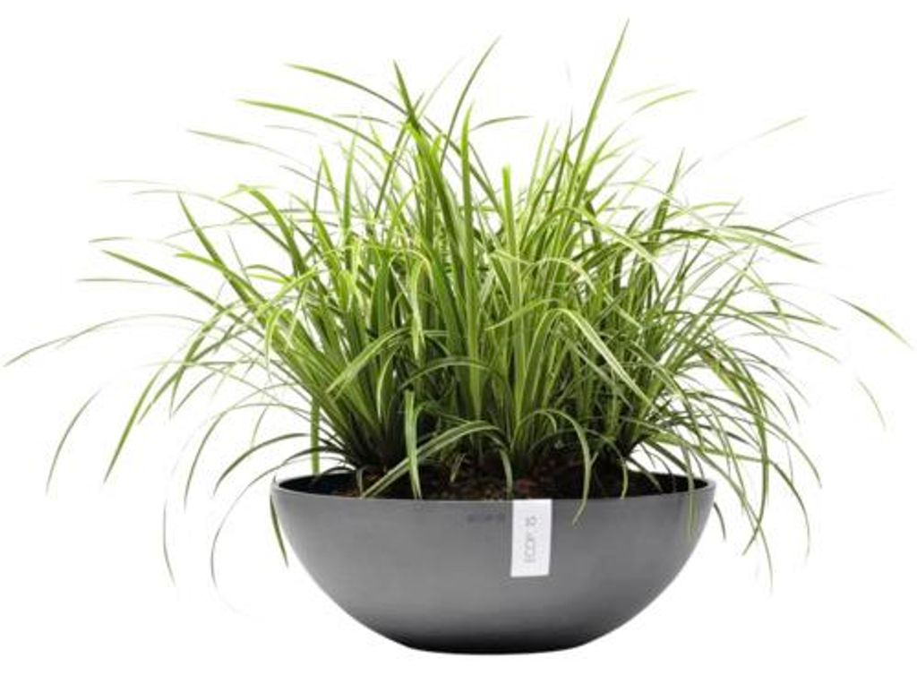 Výsadbový květináč Ecopots Vienna plastový Ø 50 cm V 18 cm Obrázek produktu 