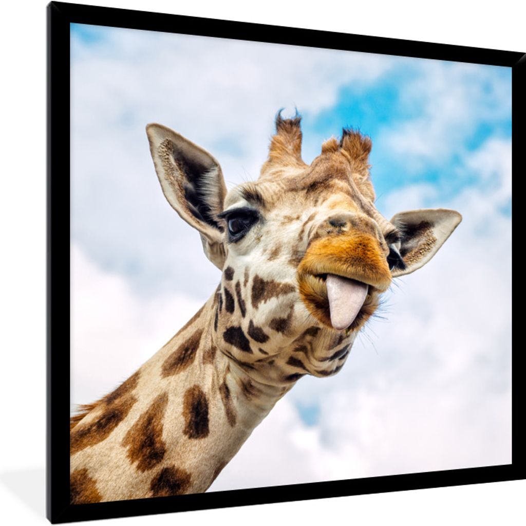 MuchoWow Gerahmtes Poster Giraffe - Lustig - Zunge - Kinder - Jungen - Mädchen - Kind 40x40 cm - Poster mit Schwarzem Bilderrahmen Wandposter Ra...