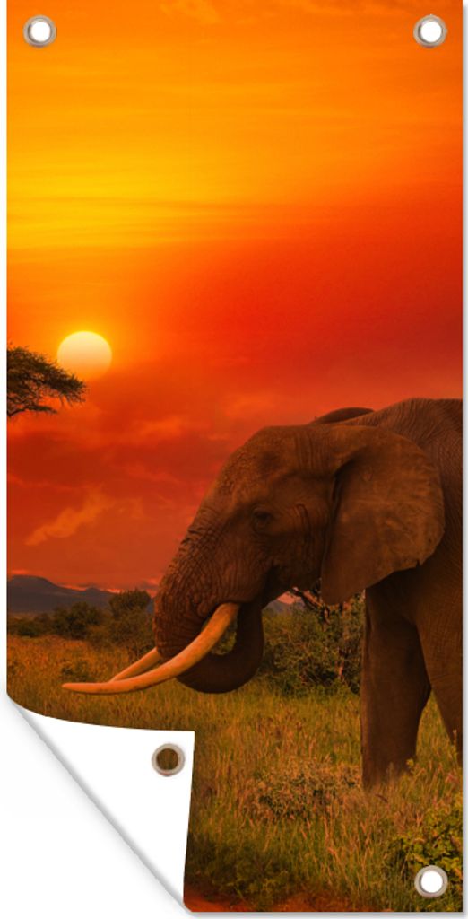 MuchoWow 30x60 cm Outdoor-Poster Gartendeko Sichtschutz Garten Poster für den Garten Elefant - Sonnenuntergang - Orange - Savanne - Tiere