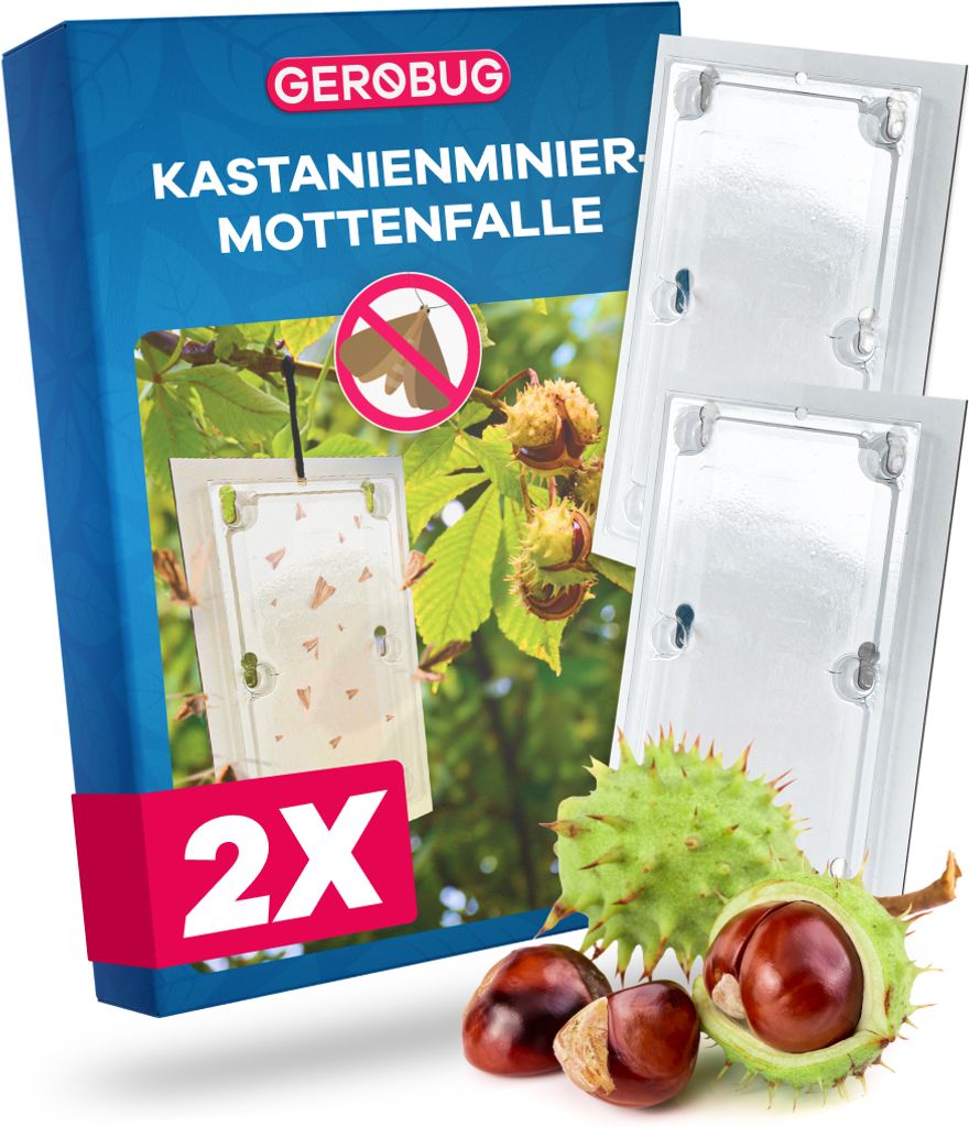 Gerobug Kastanienminiermotte Falle 2 Stück - Produktbild 