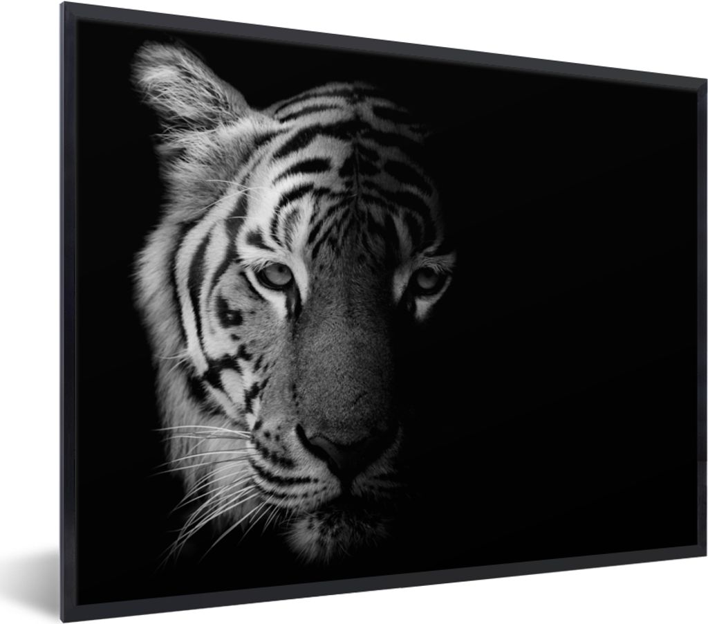 MuchoWow Gerahmtes Poster Tiger - Tiere - Wild - Schwarz - Weiß 80x60 cm - Poster mit Schwarzem Bilderrahmen Wandposter Rahmen Foto Bilder - Sch...