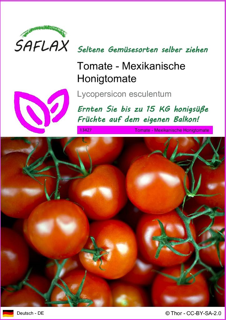 SAFLAX  - Tomate - Mexikanische Honigtomate - Lycopersicon Produktbild 