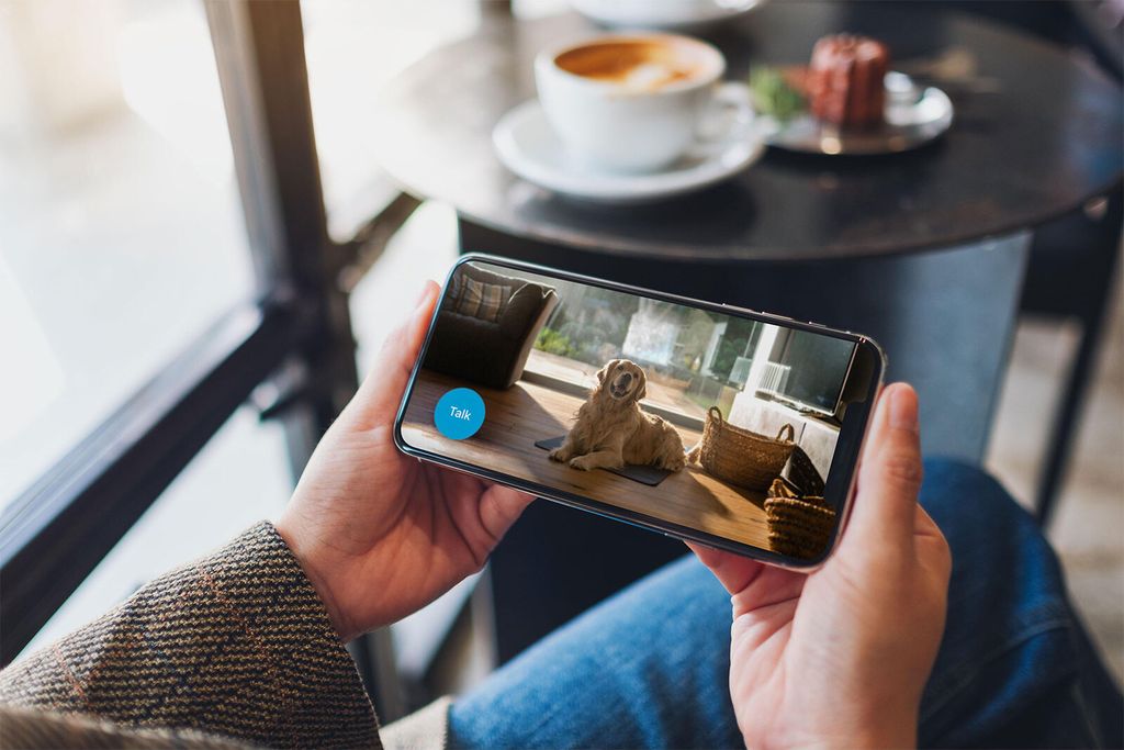 Blink Mini – Kompakte, smarte Plug-in-Sicherheitskamera für Produktbild 6