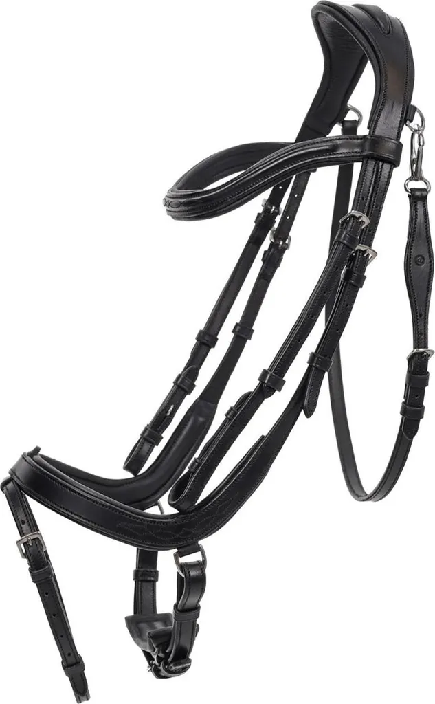 Bridon Salerno QHP muserolle doublée et têtière anatomique confort cheval