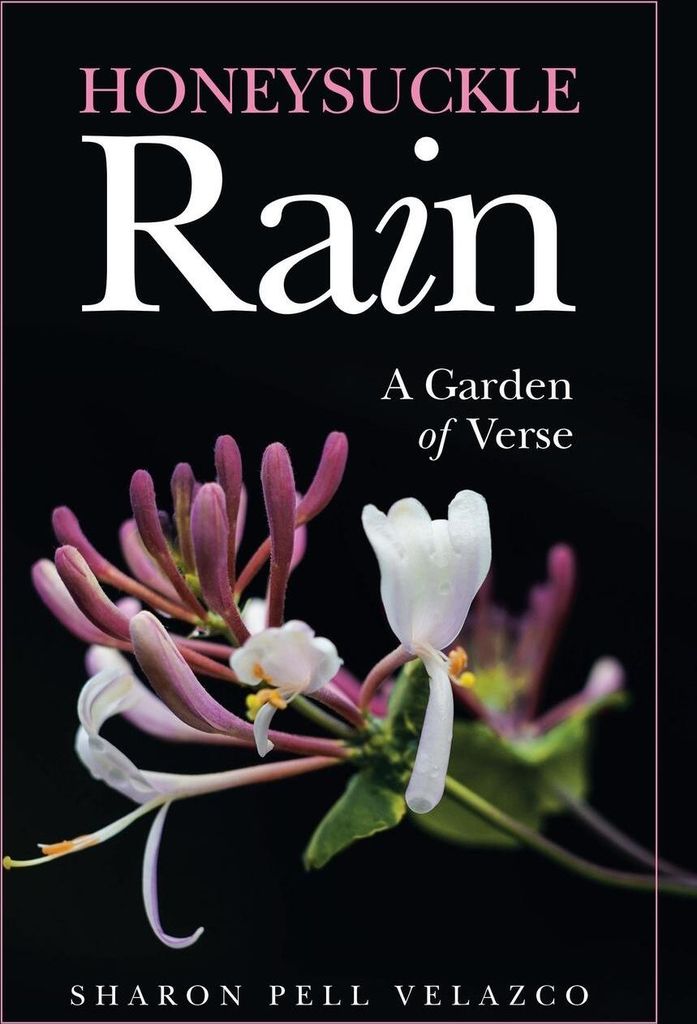 Honeysuckle Rain