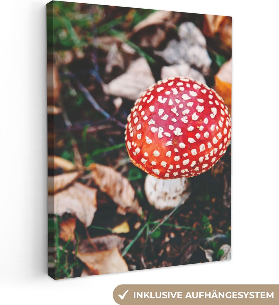 MuchoWow - Leinwandbilder - Herbst - Pilz - Blätter - Natur, Wandbild, Wanddeko Bilder Wohnzimmer, 60x80 cm