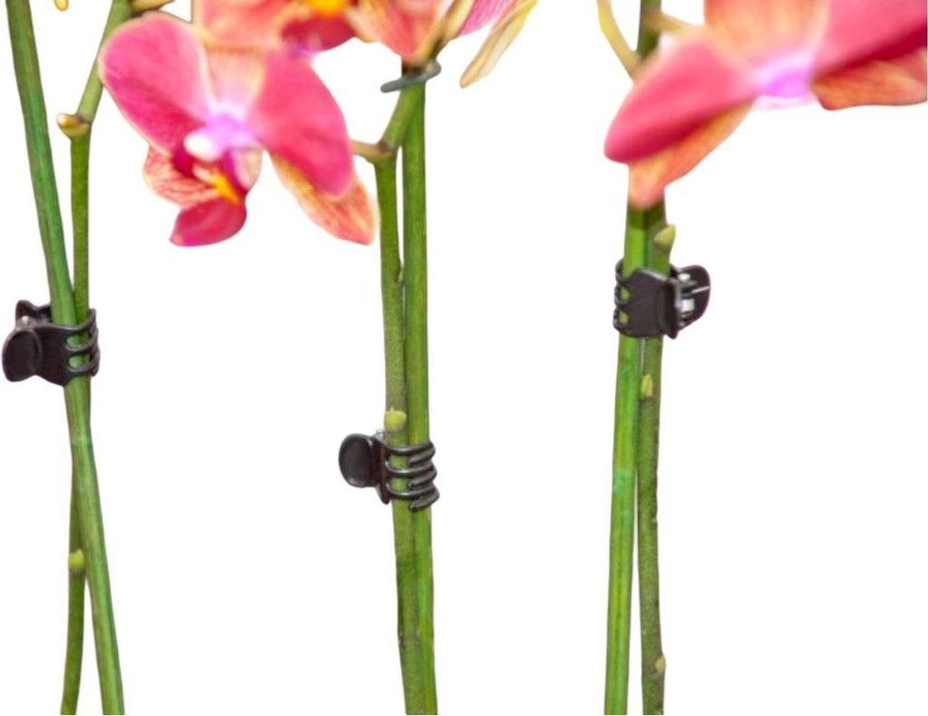 Warentuin Producten