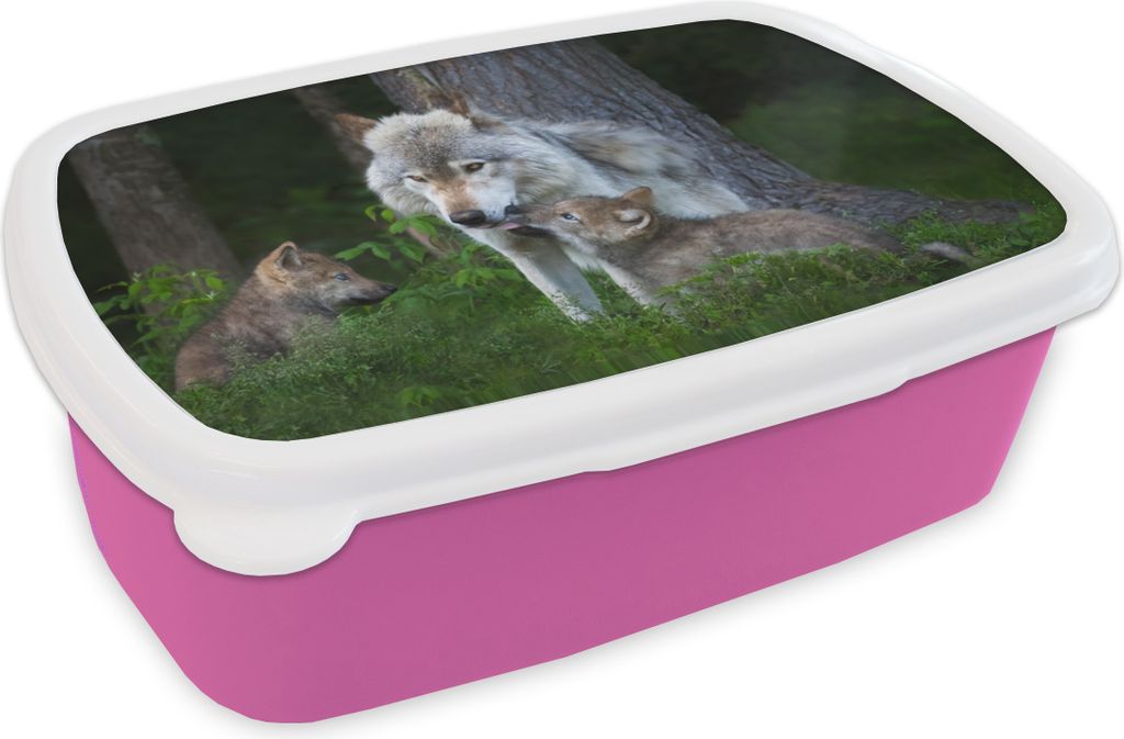 KitchenYeah Lunchbox Brotzeit Brotdose 17x11 cm Wölfe - Pflanzen - Wald Kinder Brotzeitdose - Lunchpaket - Brotkasten - Sandwich Box