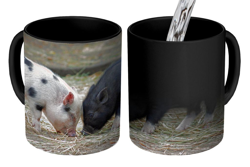 KitchenYeah Zauber Tasse Zaubertasse Magic Schweine - Ferkel - Stroh 350 ml Farbwechsel Becher Geschenk Geschenkidee - Magic-Tasse - Fototasse - ...