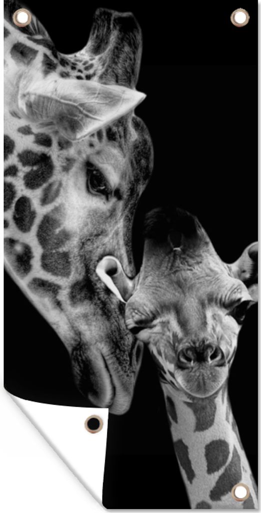 MuchoWow 40x80 cm Outdoor-Poster Gartendeko Sichtschutz Garten Poster für den Garten Porträt - Giraffe - Tiere - Schwarz - Weiß