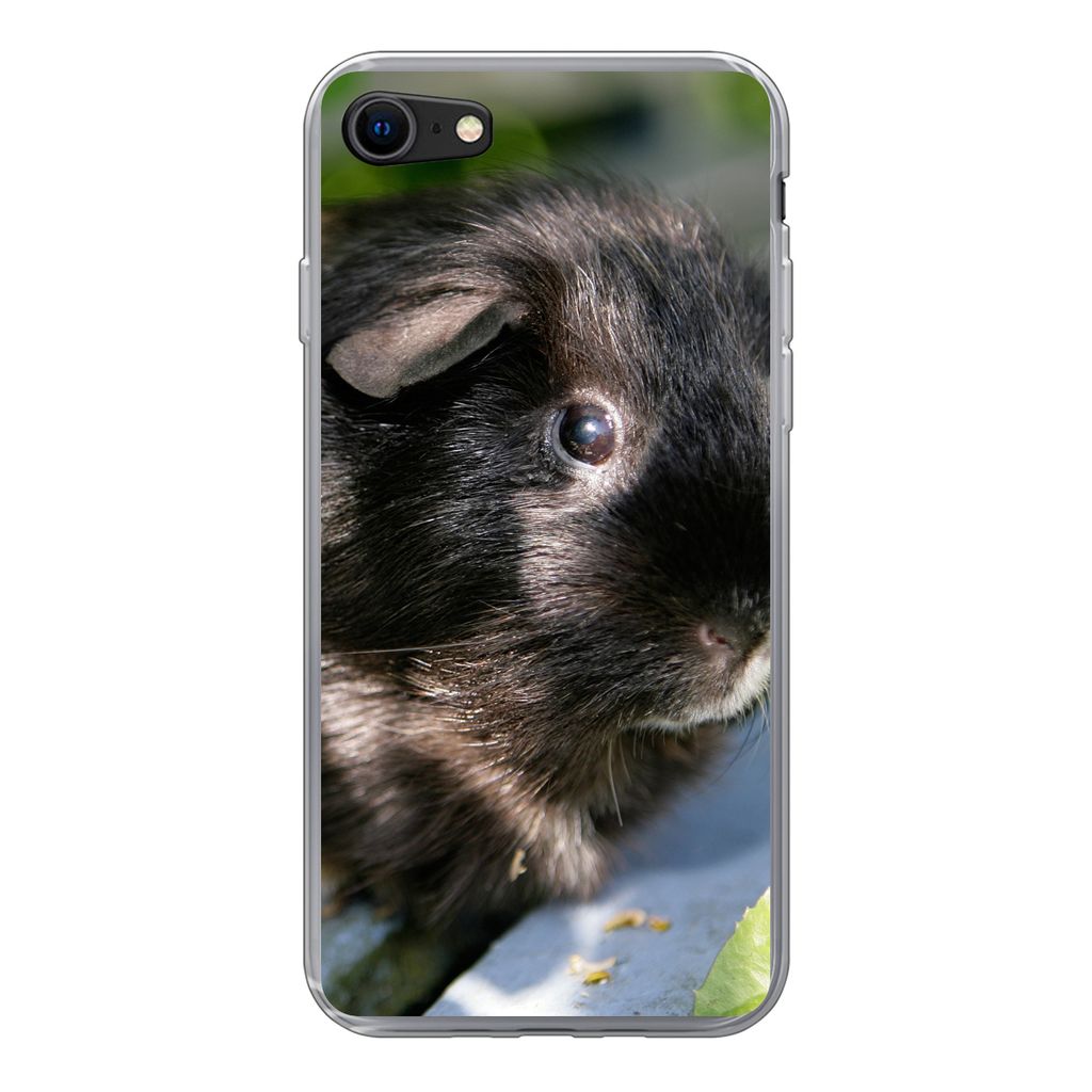 MuchoWow Handyhülle Schutzhülle Hülle für iPhone SE 2020 Meerschweinchen im Garten Silikon Softcase Handy Hülle - Kartenbesitzer