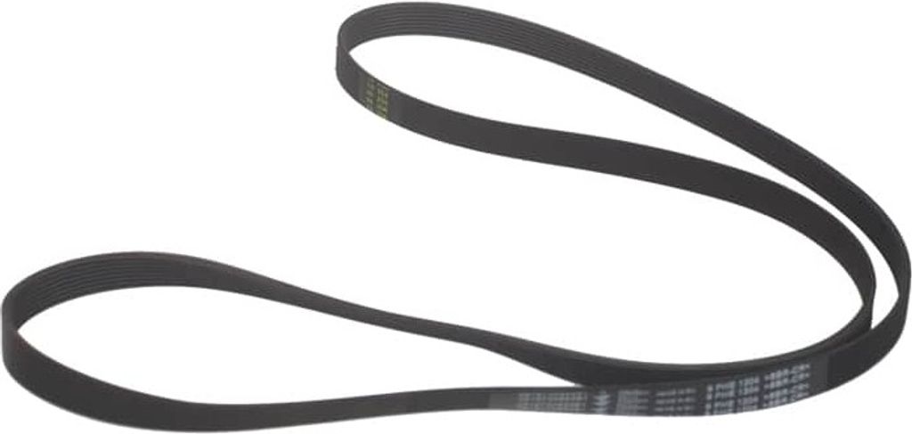 Whirlpool - Schnur Poly-V 1204 H8 Elastisch - 481235818167