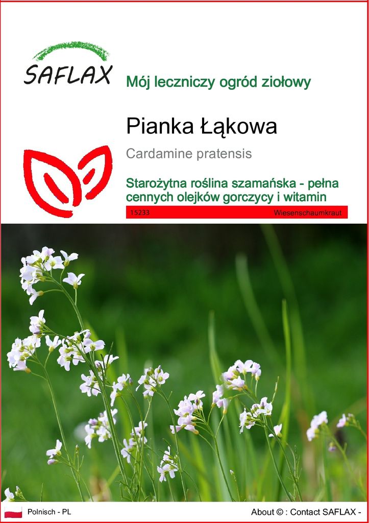 SAFLAX - Pianka Łąkowa - 100 Nasiona - Cardamine pratensis Zdjęcie produktu 