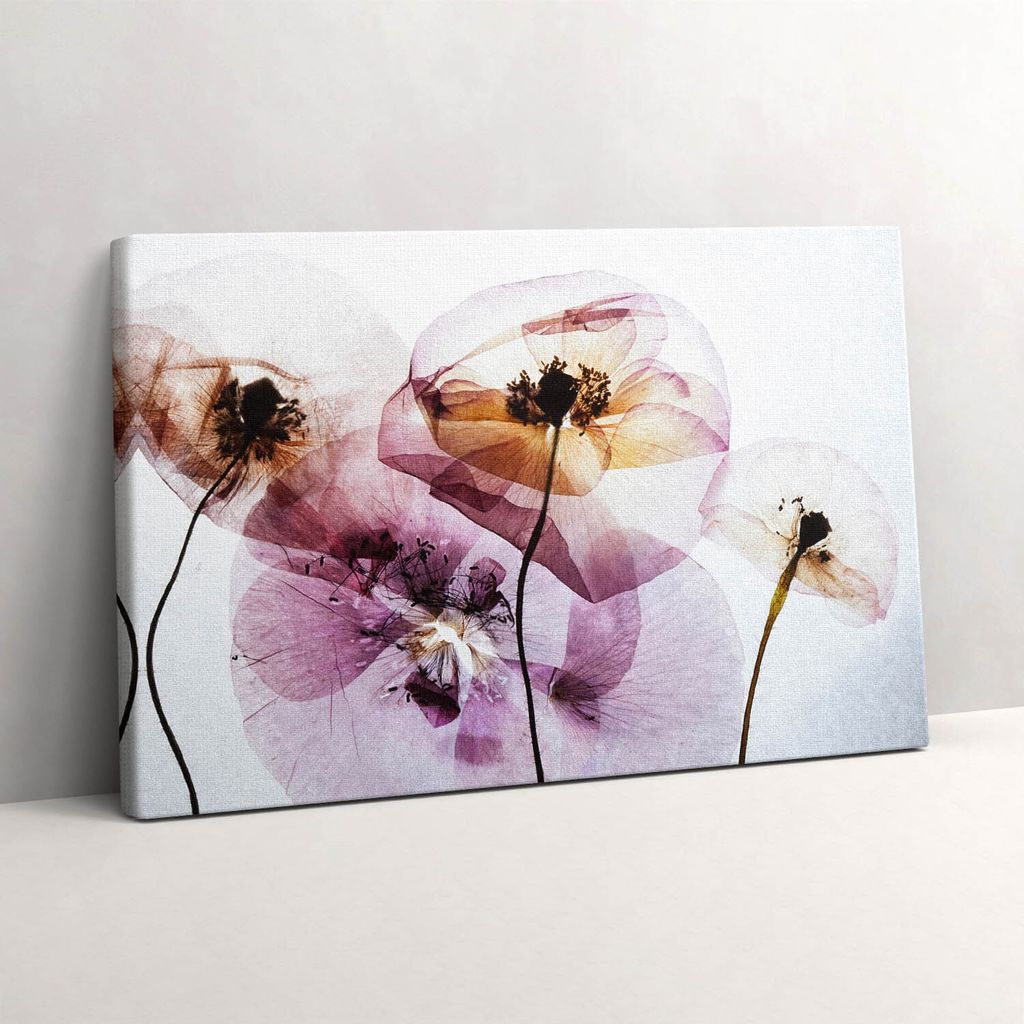 Trockene Mohnblumen – Leinwandbild Wandbild – 30x20 cm – Leinwandbilder – Wandbilder – Schlafzimmer – Flur