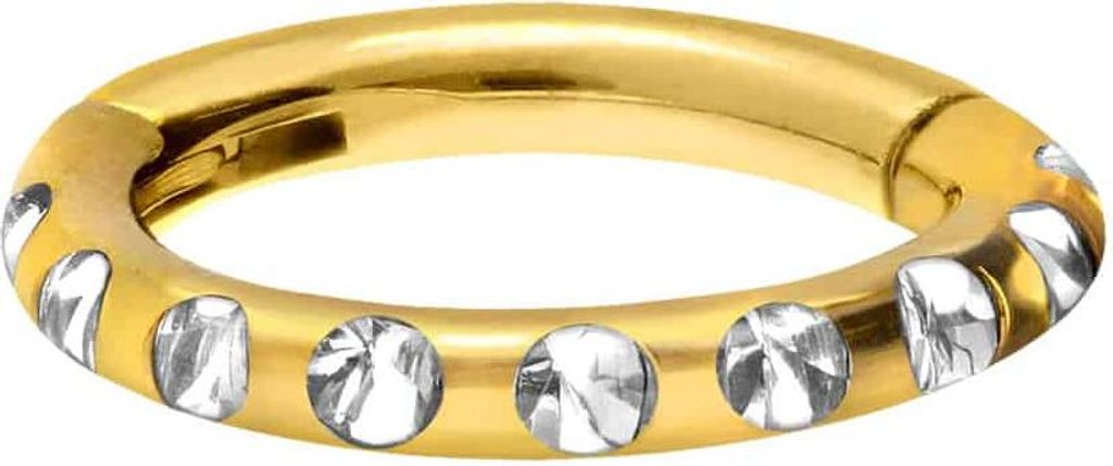 Ohrpiercing, Nasenpiercing, Septum Piercing Titan Segmentring Clicker KRISTALLE + EPOXY Gold Innendurchmesser: 6mm + Stabstärke: 1,2mm