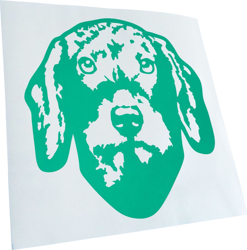 Kiwistar - Autoaufkleber - Plott Hund - Türkis - 40x36cm - Aufkleber für Auto, Laptop, Fahrrad, LKW, Motorrad Mehrfarbig JDM Decal Racing