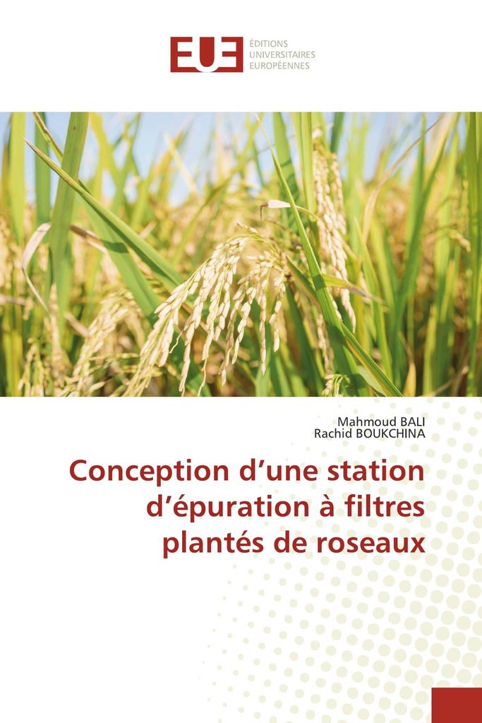 Conception d'une station d'épuration à filtres plantés de roseaux