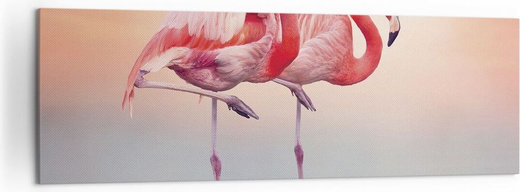 Bild auf Leinwand - Leinwandbild - Einteilig - Flamingos Exotik Vögel - 160x50cm - Wand Bild - Wanddeko - Wandbilder - Leinwanddruck - Bilder - Wa...