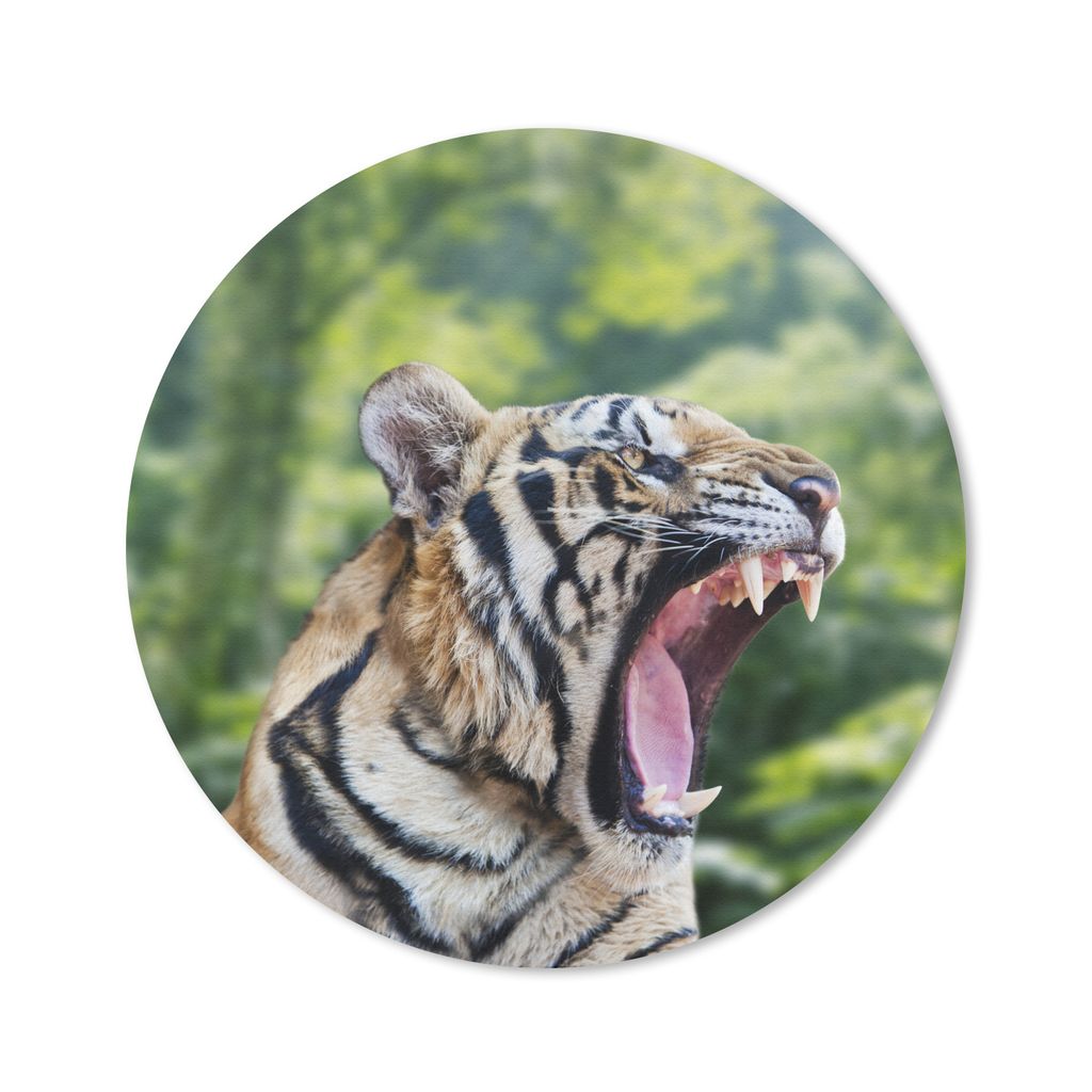 MuchoWow Mauspad Mousepad Tiger - Kopf - Wald 30x30 cm - Mousepads - Maus Mat - Pad - Mausunterlage - Tischunterlage - Schreibtischmatten