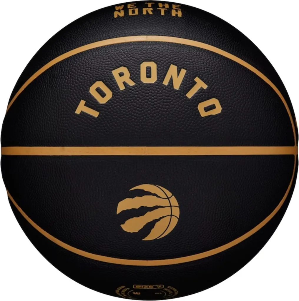 Ballon de Basket Wilson NBA Team City Collector Toronto Raptors WZ4016428ID