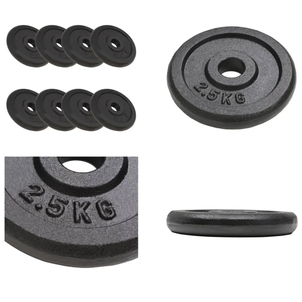 Disques de musculation 2,5 kg en fonte vidaXL pour entraînement