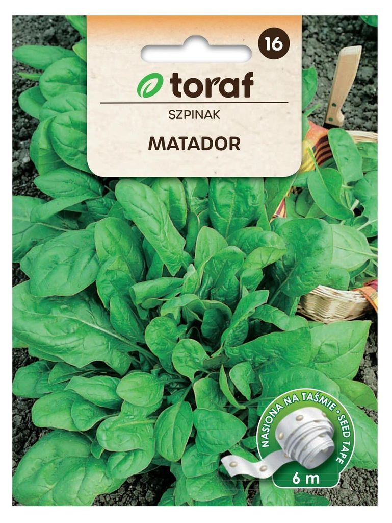 Špenát MATADOR (pás 6 m) Obrázek produktu 