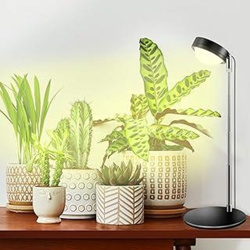 Pflanzenlampe LED Vollspektrum mit Optischer Linse für Hohe PPFD, Desktop Grow Lampe mit 6/12/18H Timer, Höhenverstellbar Grow Light Pflanzenlich...