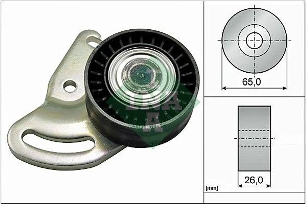 Changer le Tendeur de Courroie pour Renault Kangoo et Nissan Micra K12