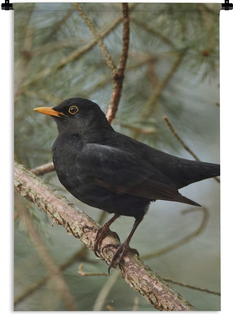 MuchoWow Wandteppich Wandbehang Vogel - Amsel - Zweige - Tiere 90x135 cm Tapisserie Dekoration Wandtuch - Baumwolle - Wandskulptur