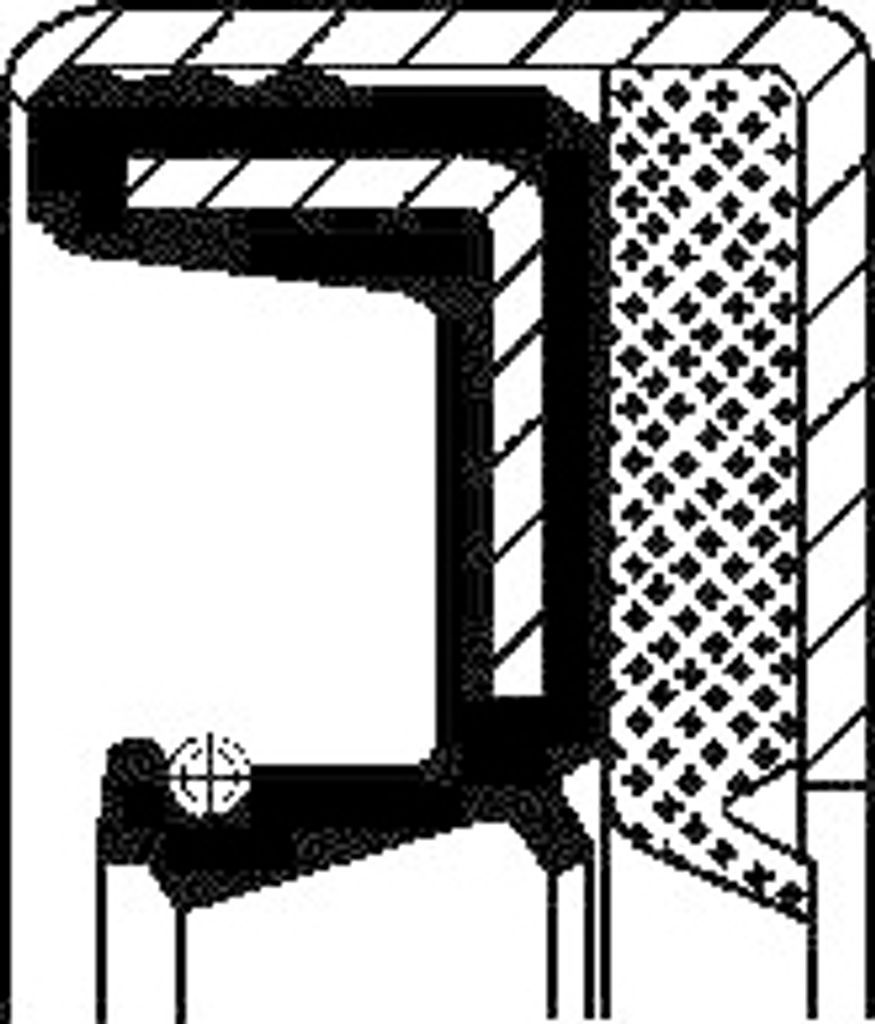 Dichtring Corteco 12013947B für Massey Ferguson Landini Dana