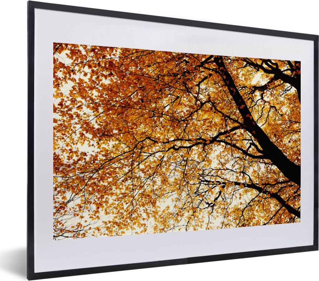 MuchoWow Gerahmtes Poster Baum - Herbstblätter - Jahreszeiten - Rustikal 40x30 cm - Poster mit Schwarzem Bilderrahmen Wandposter Rahmen Foto Bil...