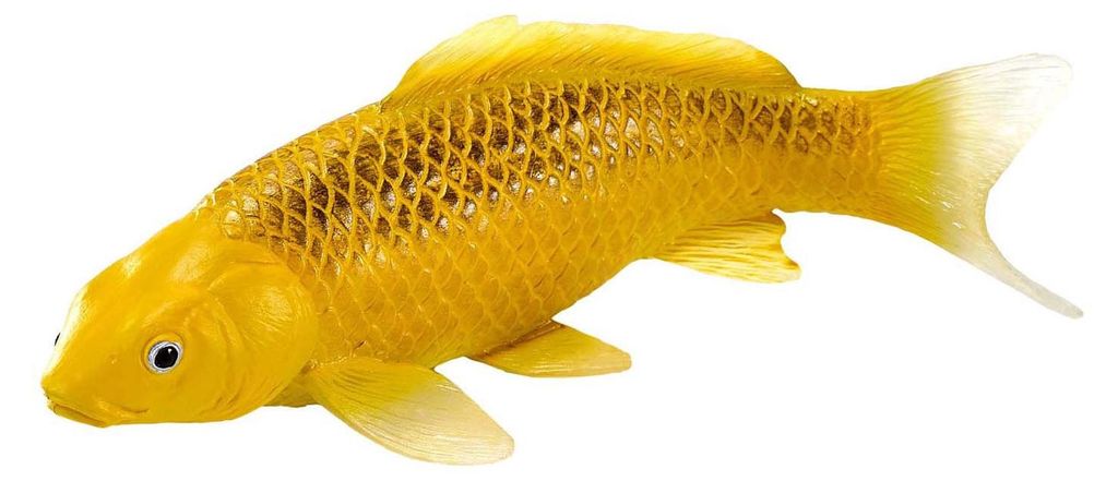 Mojo Sealife Koi Karper - Kin Matsuba Koi - 381105 Immagine del prodotto 