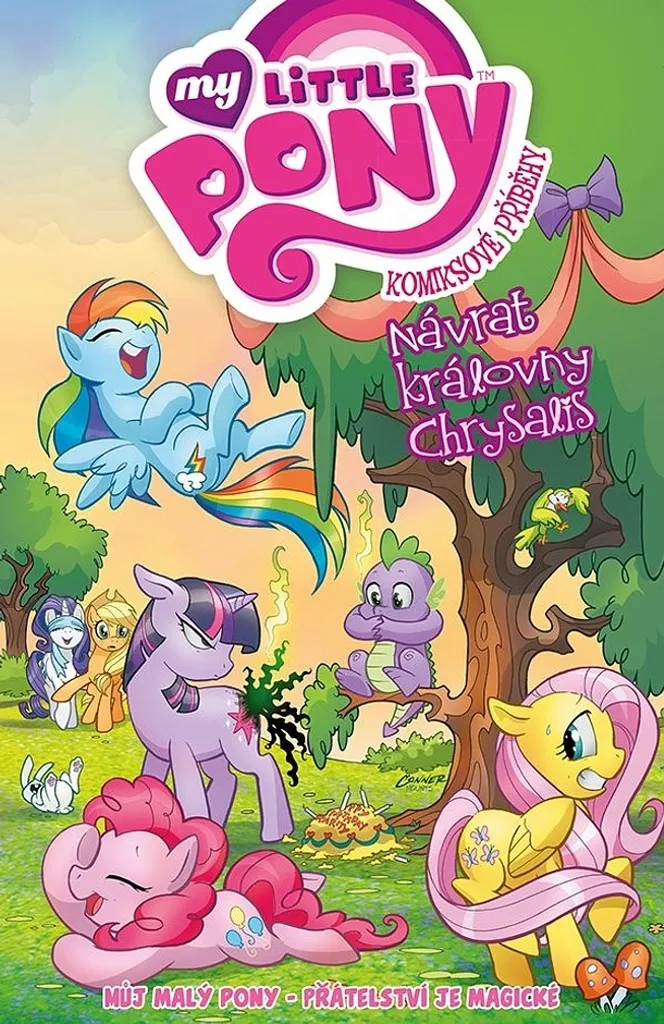 Livre My Little Pony pour Enfant Lecture Idéale Histoire Reine Chrysalis