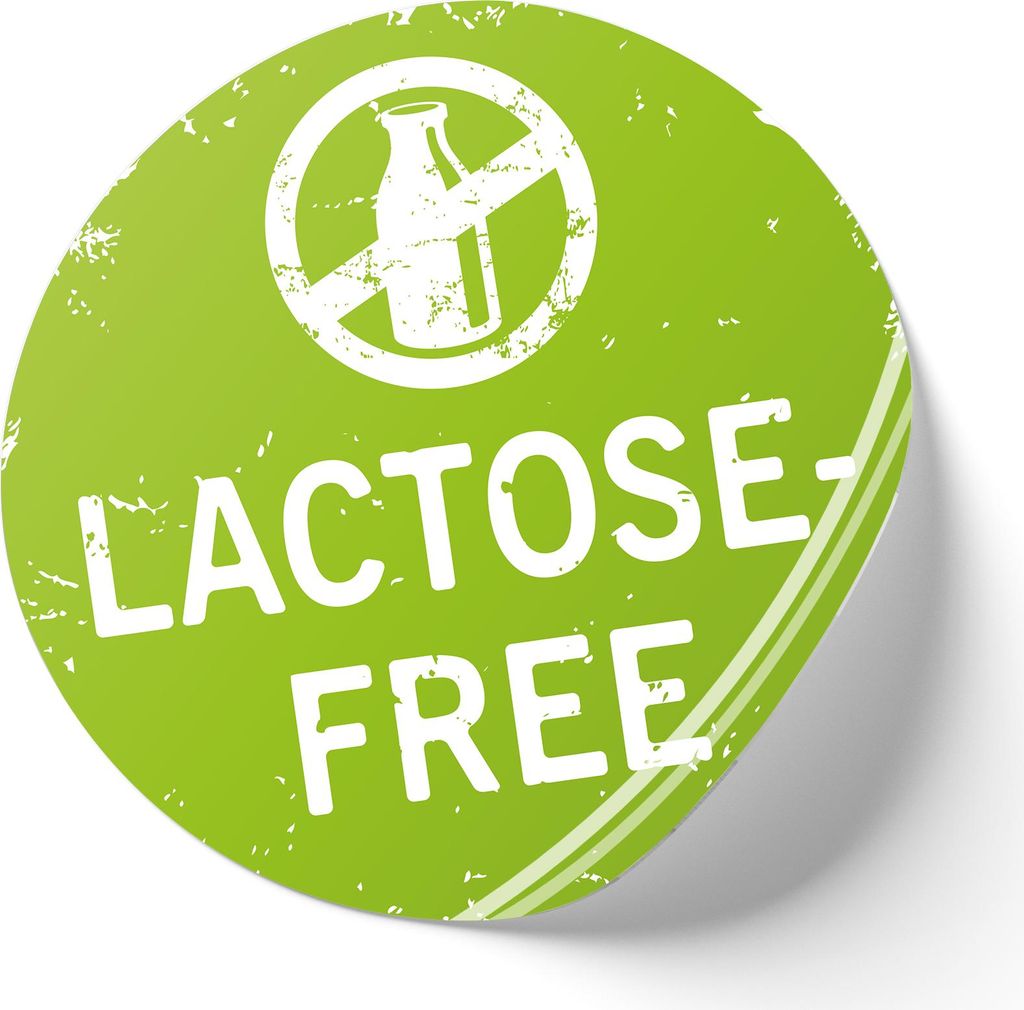 500er Set Aufkleber "Lactose-free" rund je 2cm Lebensmittel Kennzeichnung Beschriftung Etiketten f. Küche Gastro Party Catering R002