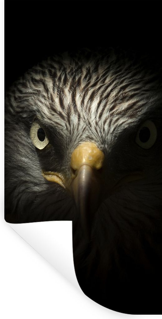 MuchoWow Wandtattoo Wandsticker Wandaufkleber Vogel - Adler - Raubvögel - Auge - Schnabel - Licht 20x40 cm Selbstklebend und Repositionierbar - ...