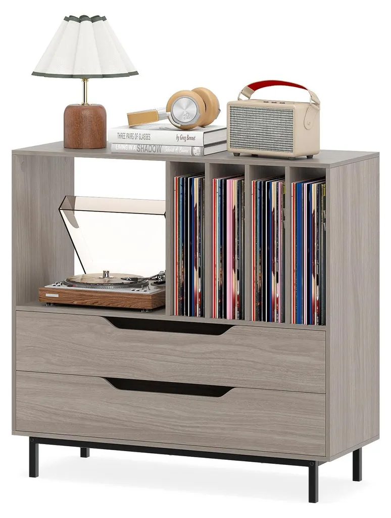 Armoire pour Disques avec 4 Compartiments Vinyles et 2 Tiroirs Gris
