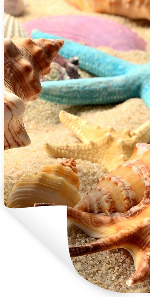 MuchoWow Wandtattoo Wandsticker Wandaufkleber Seesterne - Muscheln - Sand - Strand 40x80 cm Selbstklebend und Repositionierbar - Repositionierbar...