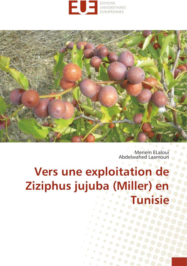 Vers une exploitation de Ziziphus jujuba (Miller) en Tunisie