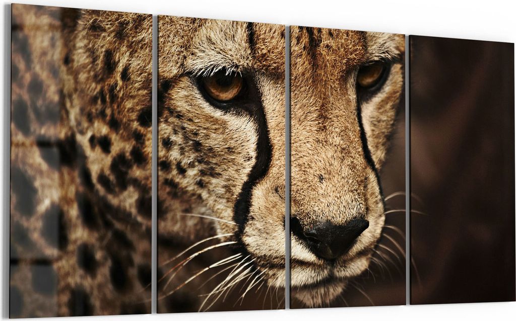 DEQORI Glasbild Echtglas 4x30x60 cm 'Wunderschöner Gepard' Wandbilder XXL groß
