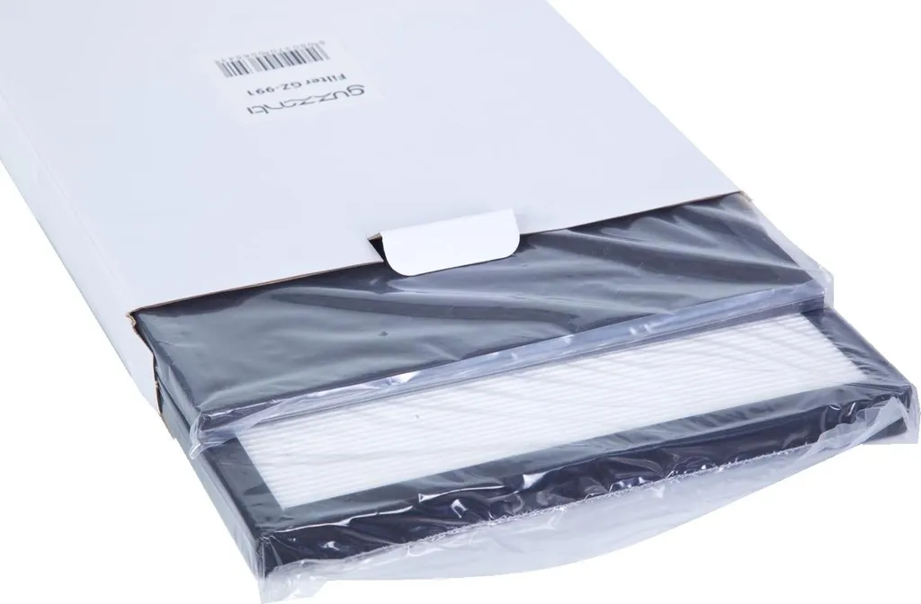 Filtres HEPA et Charbon Actif pour Guzzanti GZ 999 - Pack entretien