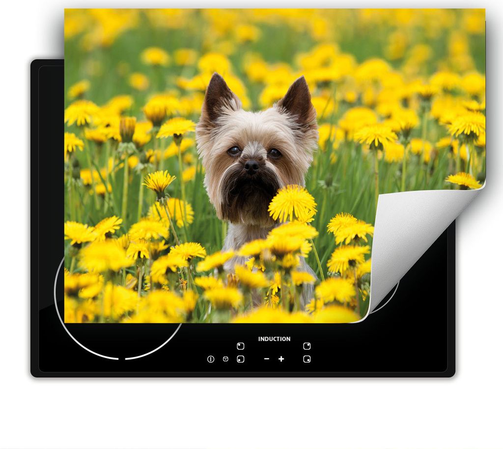 DarHaus Herdabdeckplatte 80x52 cm Anti Rutsch Matte Aufrollbar, Hund - Blumen