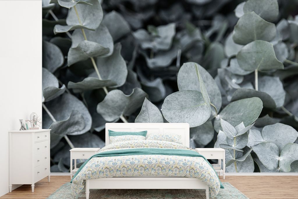 MuchoWow Fototapete für Wohnzimmer oder Schlafzimmer Wandtapete Vinyl Motivtapete Natur - Pflanzen - Eukalyptus - Blätter - 600x400 cm - Vinylt...