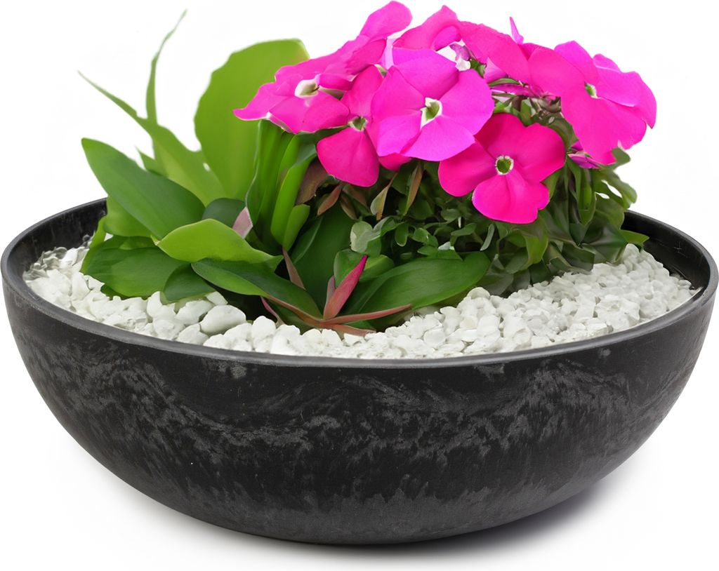 Runde bauchige 25 cm Pflanzschale für draussen, schwarz Produktbild 